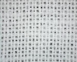 organicCottonNosquare